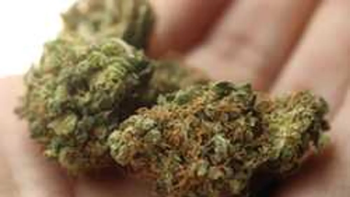 50 milliót érő droggal bukott meg a díler - Videó