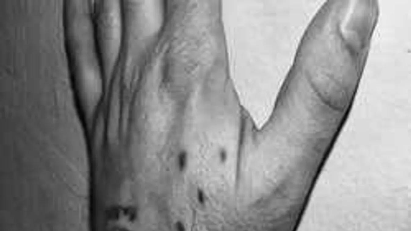 Rejtélyes halál: Tetovált holttestet találtak Pest megyében