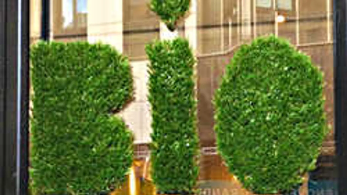 Káosz a bioboltokban, újabb termékeket tiltottak be. Ki csinál itt rendet?