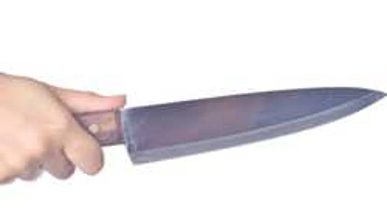 Ezért szúrta meg élettársát a kecskeméti nő