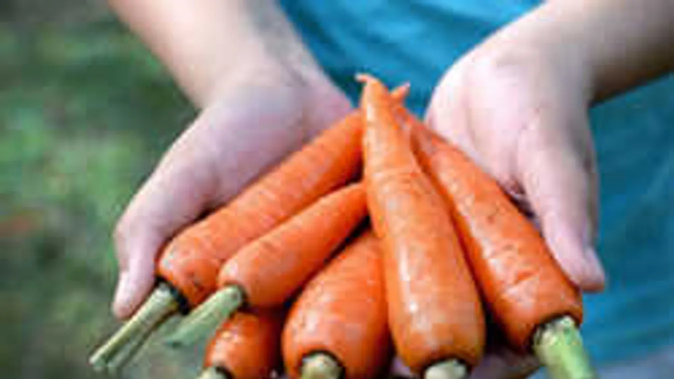 Borzasztó tragédia: répapucolás miatt halt meg egy magyar nő