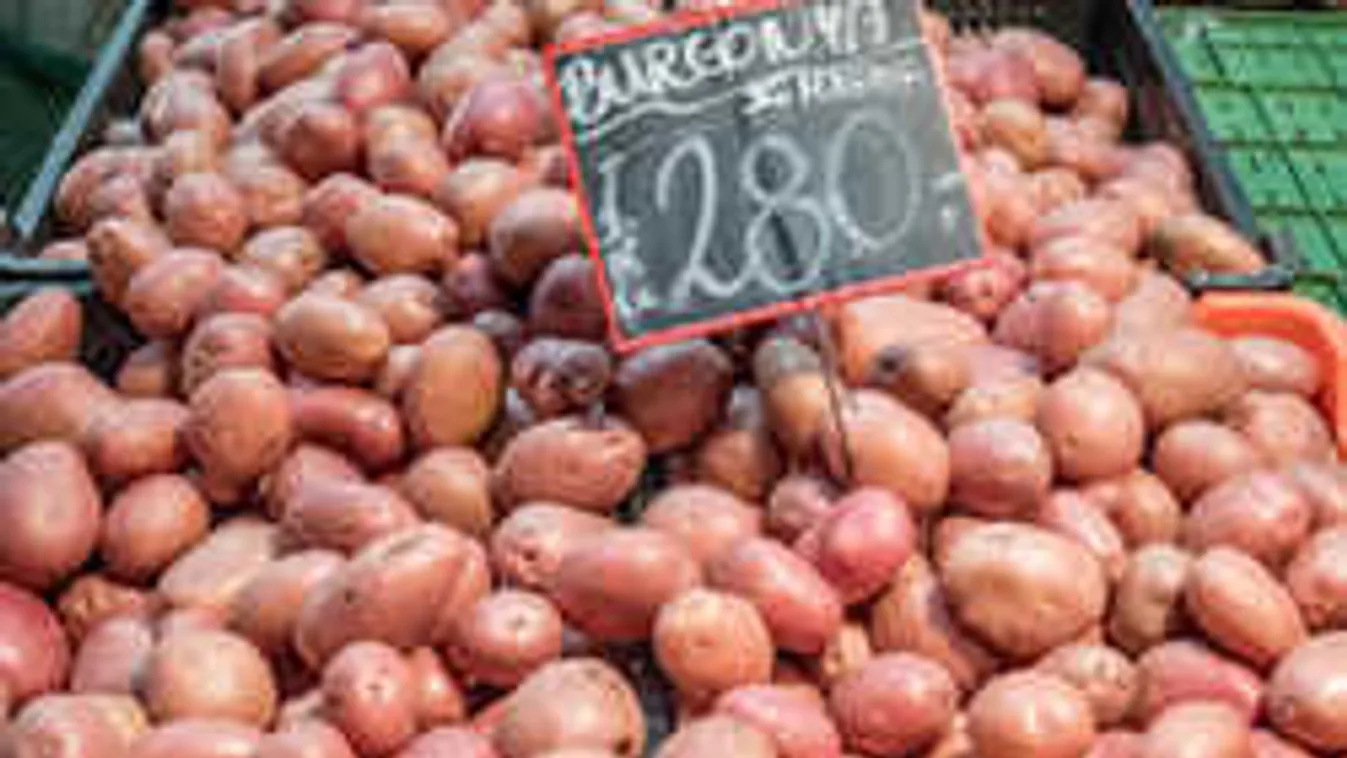 Zűrzavar burgonyafronton: Nem igaz, hogy nincs magyar krumpli!