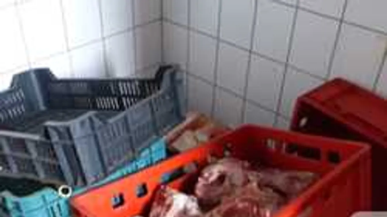 Undorító, ezt találta a Nébih egy vágóhídon - videó