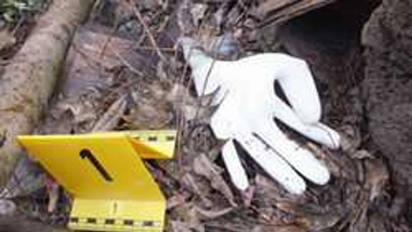 Rekordidő alatt kapták el a balfék dohánybolti tolvajokat