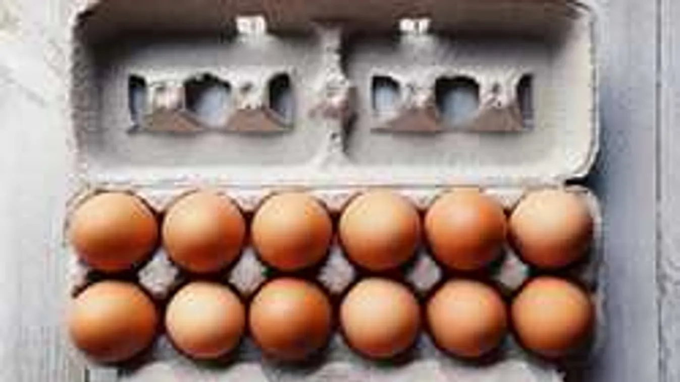 Elképesztő tudományos felfedezés: Rákellenes tojást tojnak a tyúkok