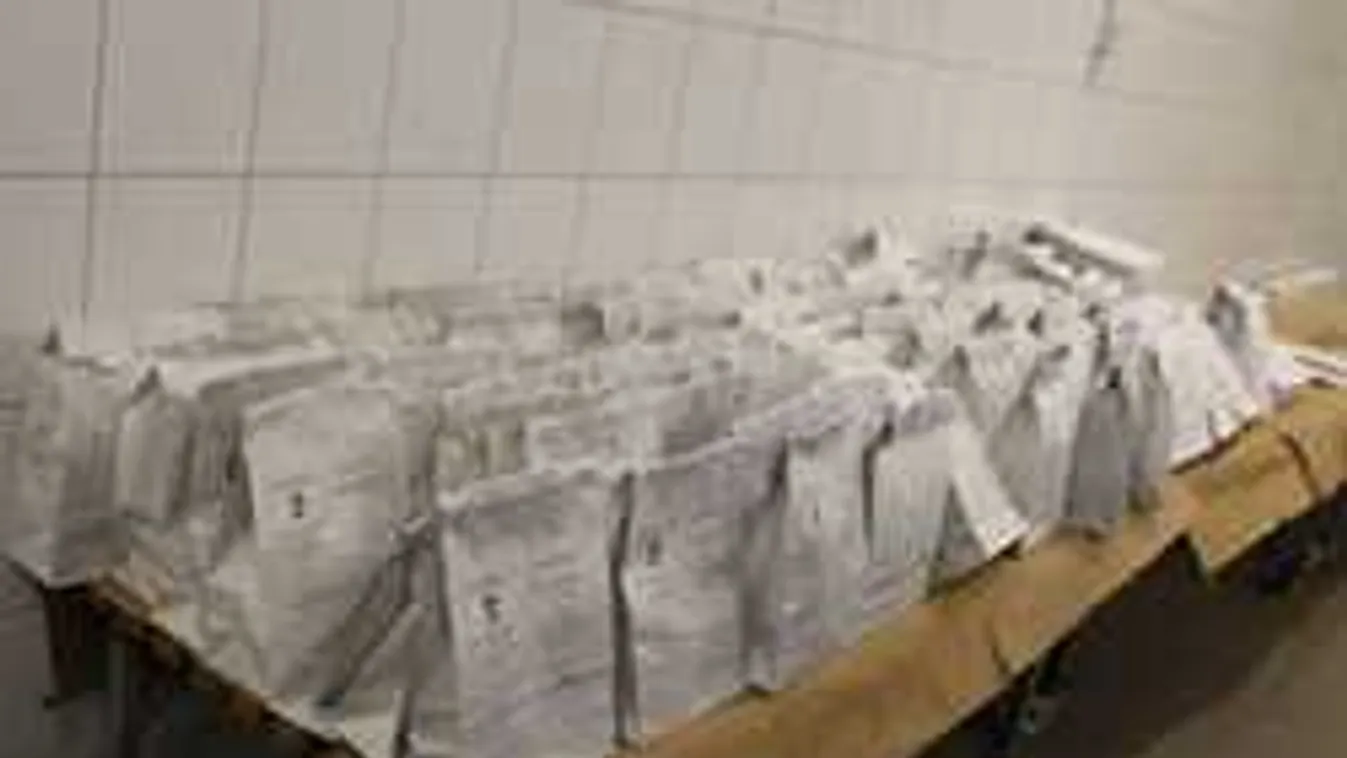 Kisebb vagyont ér a drog, amire lecsaptak a magyar rendőrök