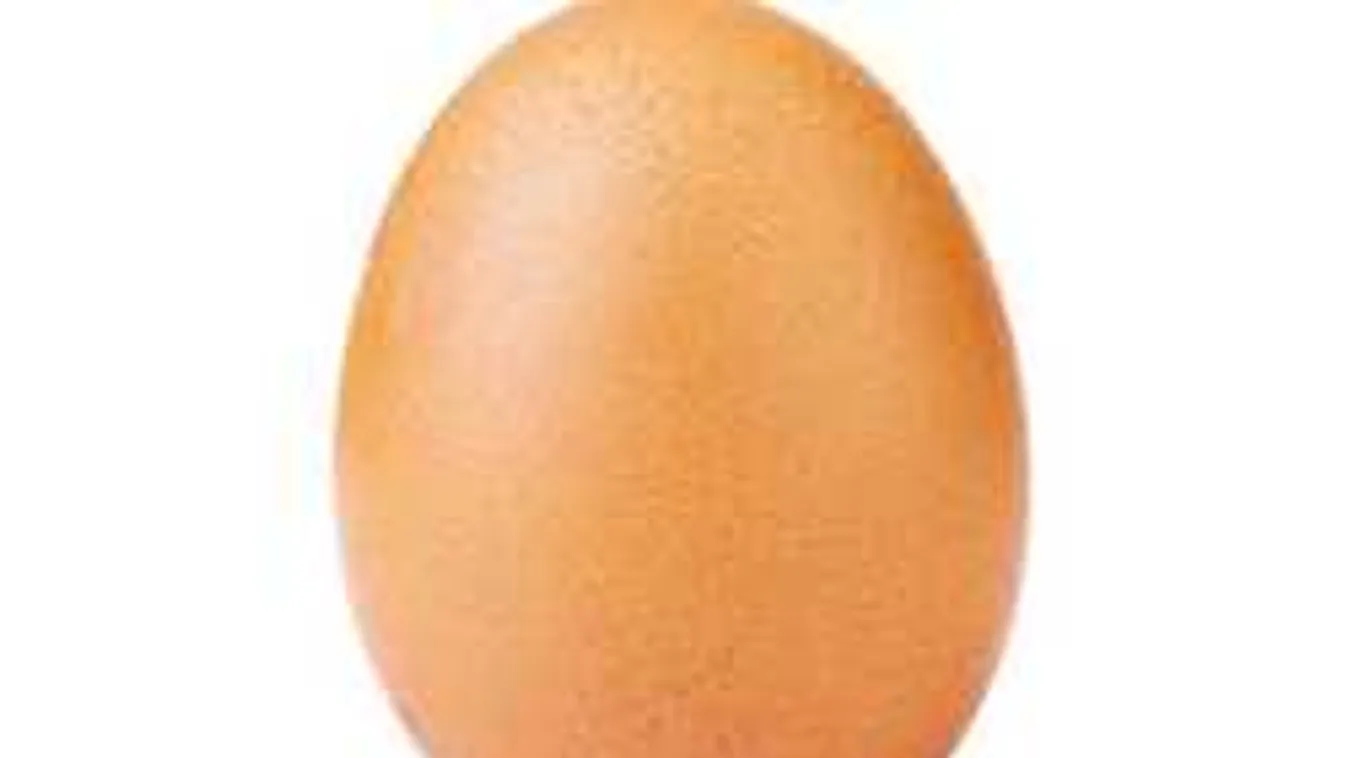 Megőrült a világ, egy tojás átvette a hatalmat az internet felett