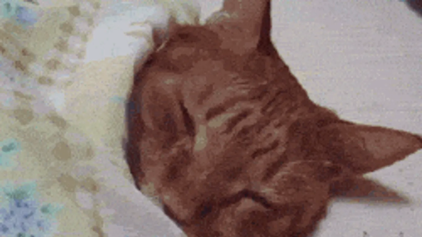 Ónos eső, szél és fagy: továbbra sem kímél minket az időjárás