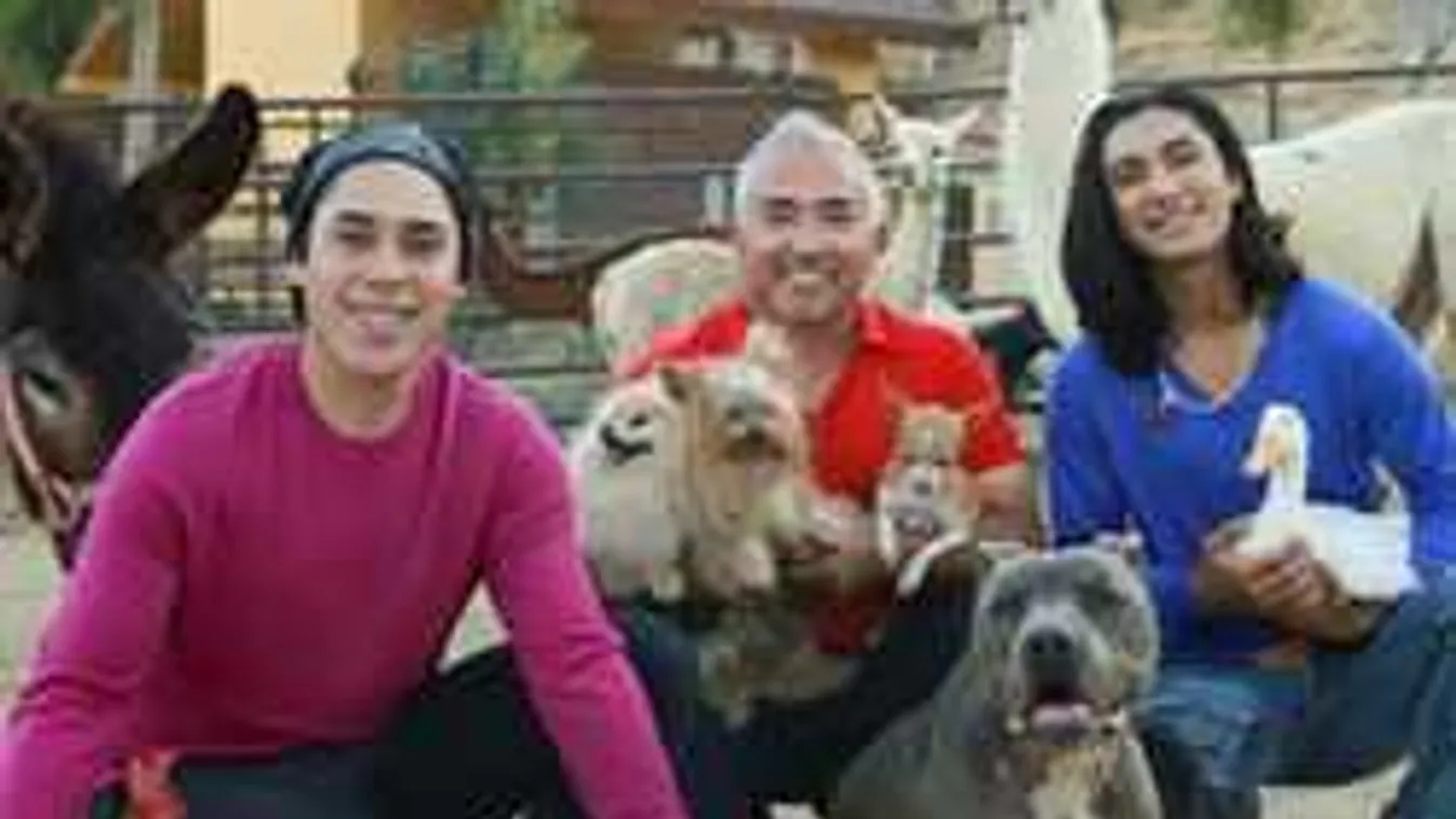 Különleges előadással tér vissza hazánkba a világhírű kutyapszichológus