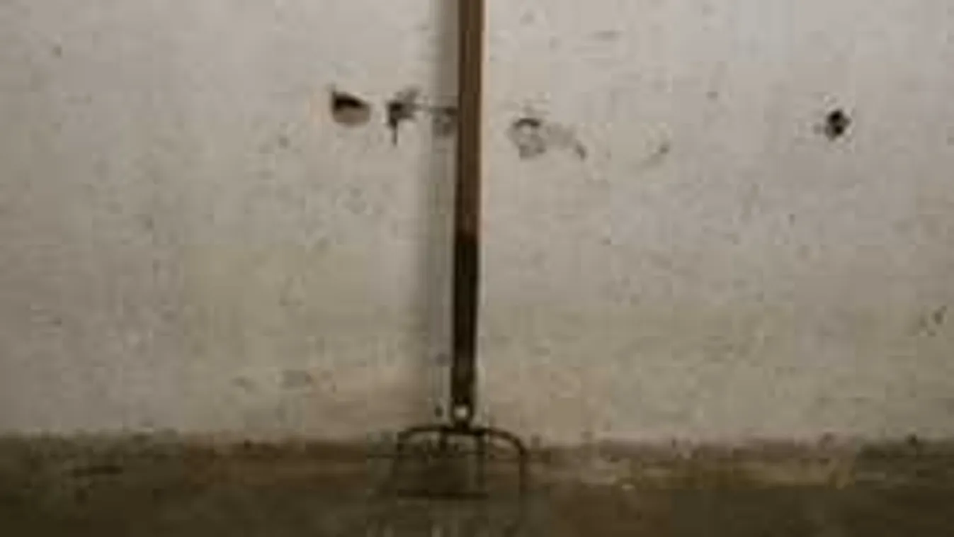 Erőszakos jelenet a Pest megyei lovardában, mentők és rendőrök lepték el a helyszínt