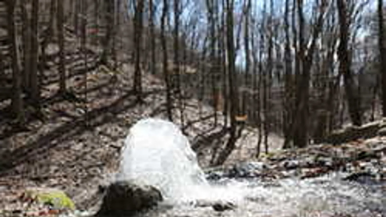 Elképesztő, mit tett a magyar házaspárral egy rendőr a Bükkben