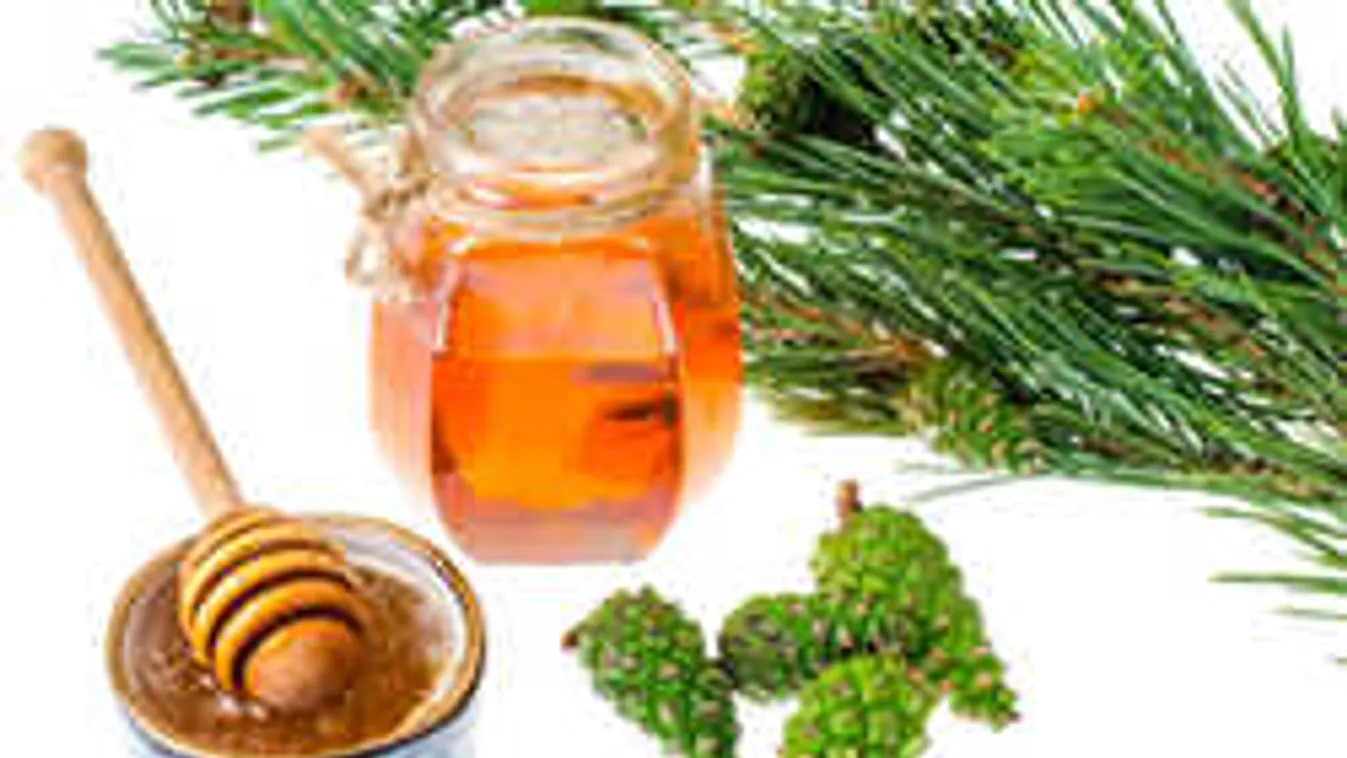 Lehullott a tűlevél a fáról? Ne dobd ki, erre is használhatod!