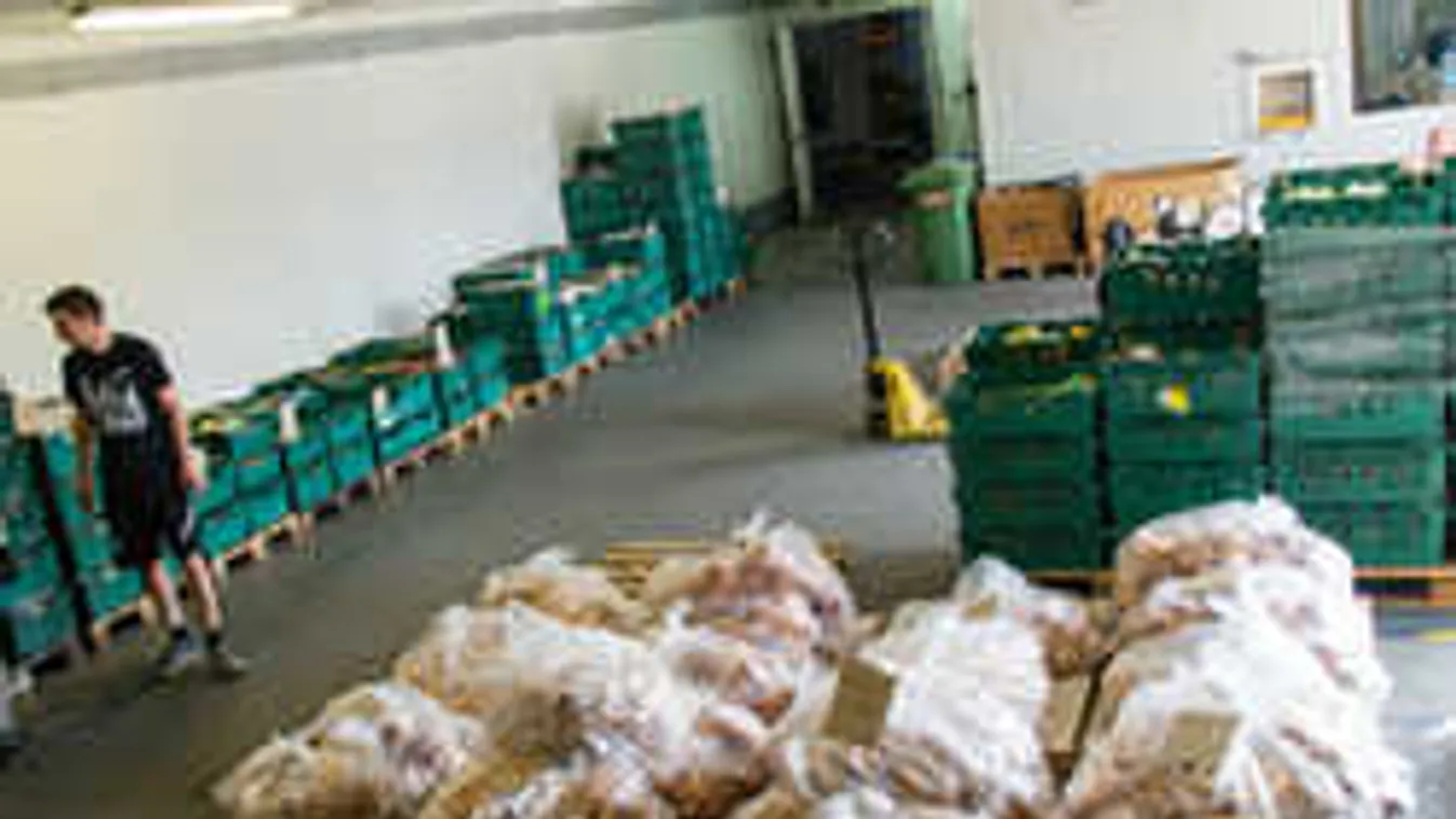 Itt a megoldás, mit kell csinálni kidobás helyett az élelmiszerrel