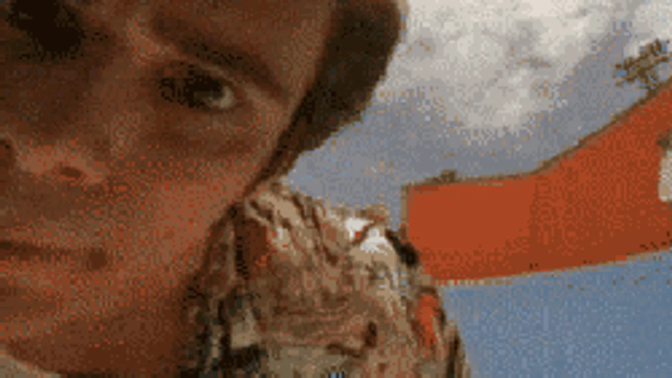 Ez a fotó tartja most lázban a netezőket, megtalálod rajta az állatot?