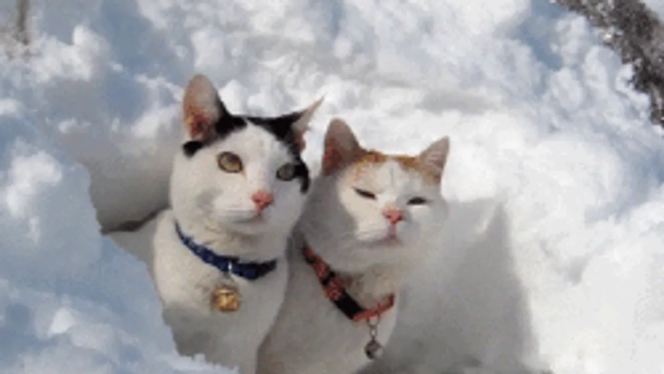 Bekeményít a tél, de nem a havazás lesz a legdermesztőbb