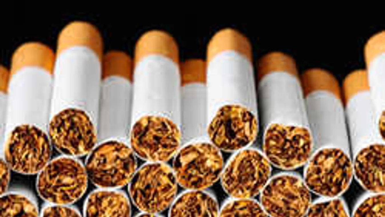 Elképesztő fogás a határon: ebből találtak több ezret az ukrán férfinál