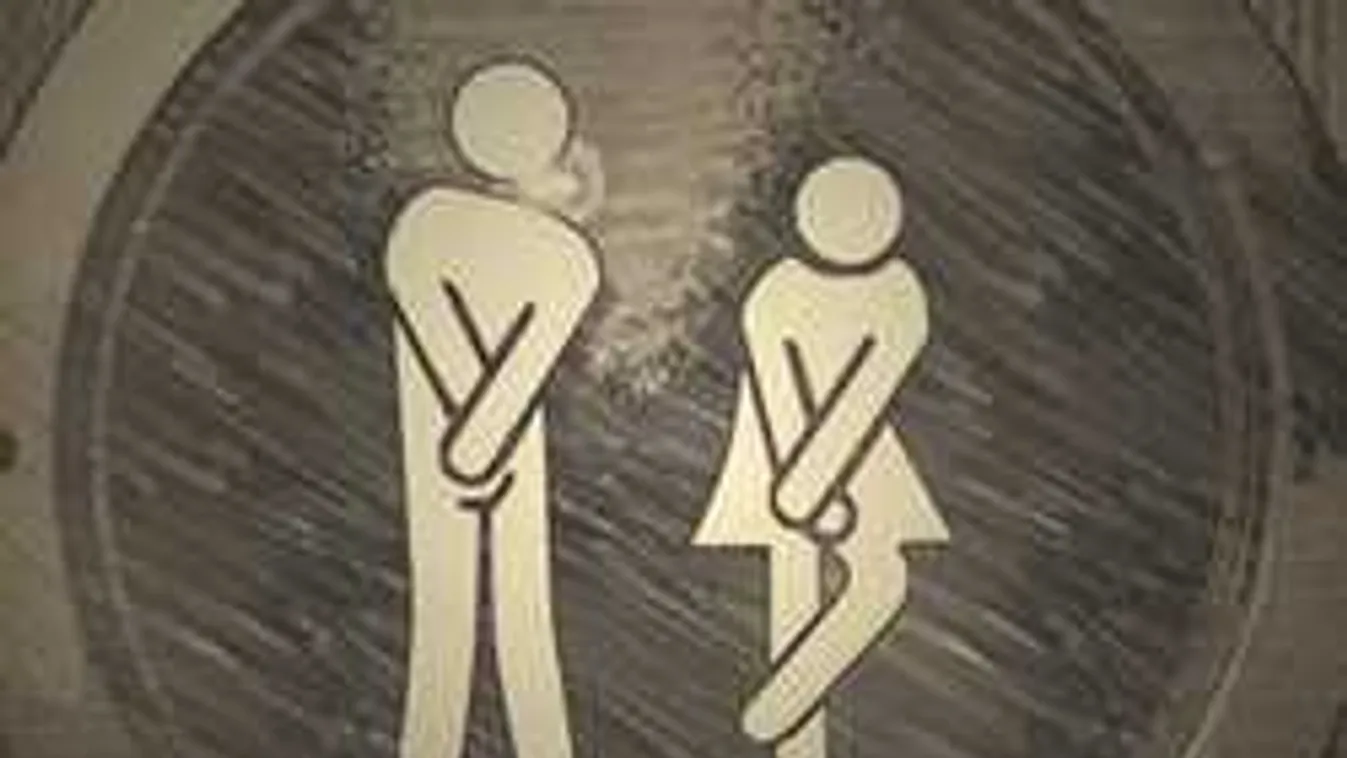 Ez vár rád alkotás közben, ha nyitva felejted a budiajtót Hollókőn