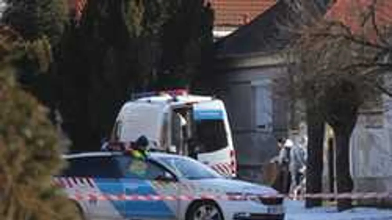 Kritikus a fejbe lőtt magyar kislány állapota