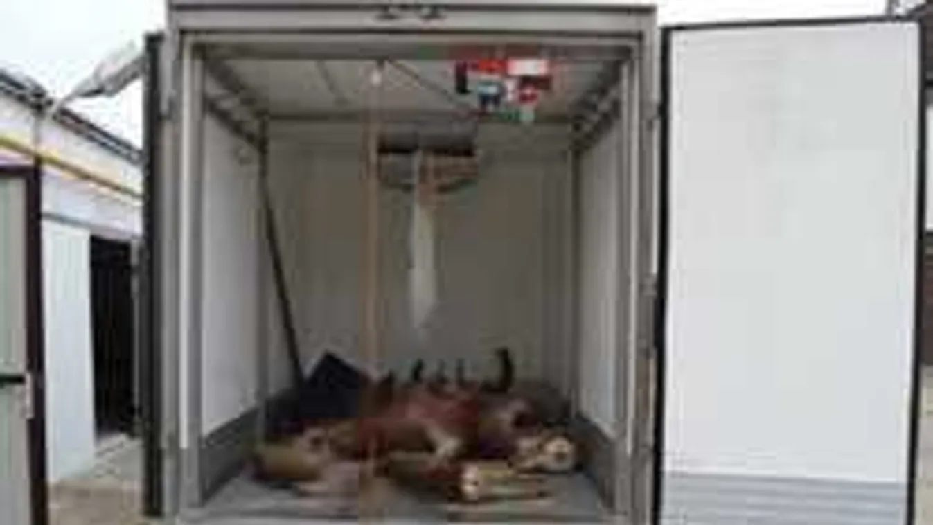 Döbbenet, mit művelt a tetemekkel a vadászmester