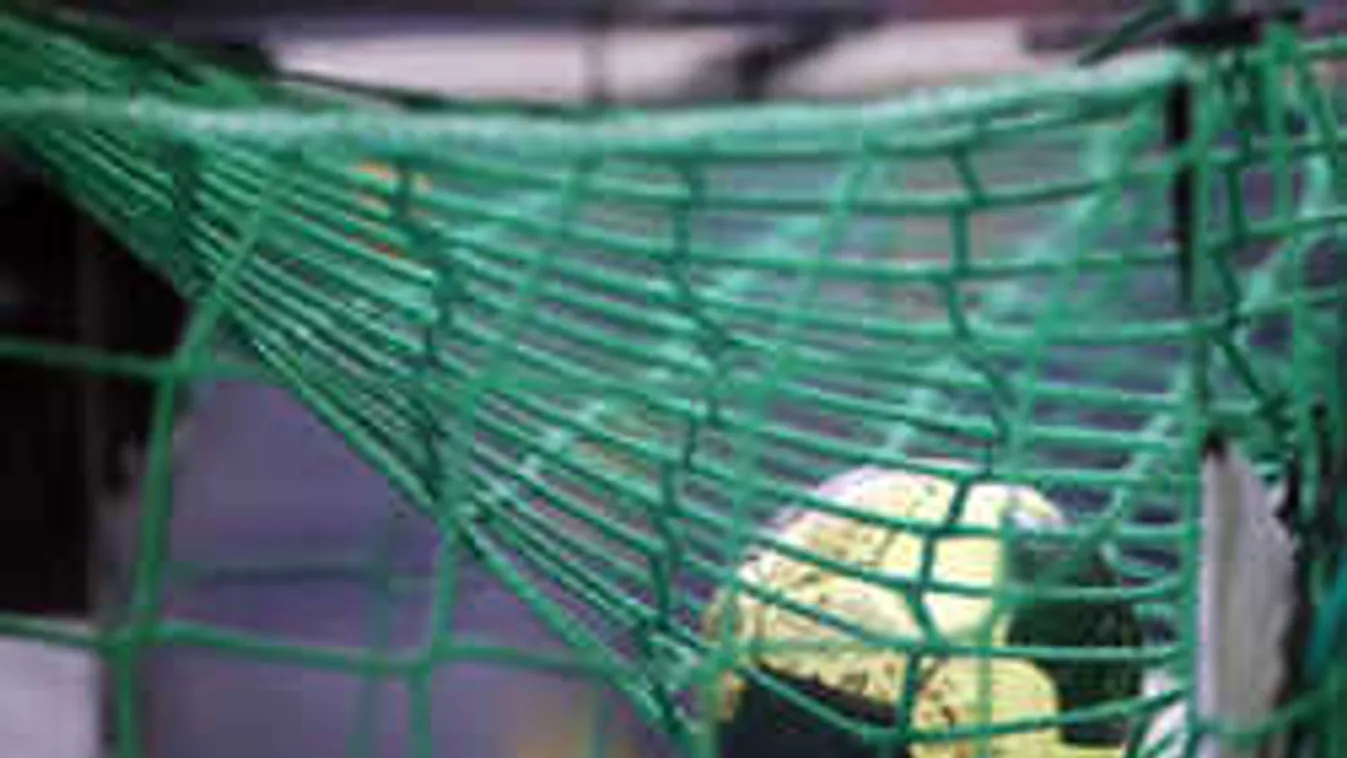 Kiderült, ez a menedzser akart pénzt kicsalni a Fraditól