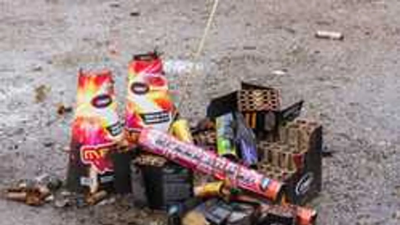 Rengeteg kutya pusztult el az újévi a tűzijátékok miatt