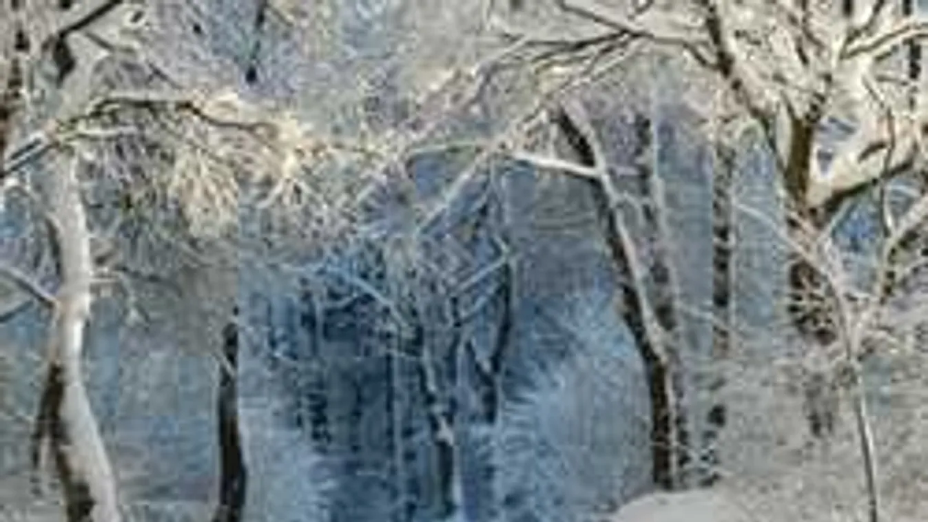 Tragédia történt, édesanyja talált rá a 21 éves lány holttestére az erdőben