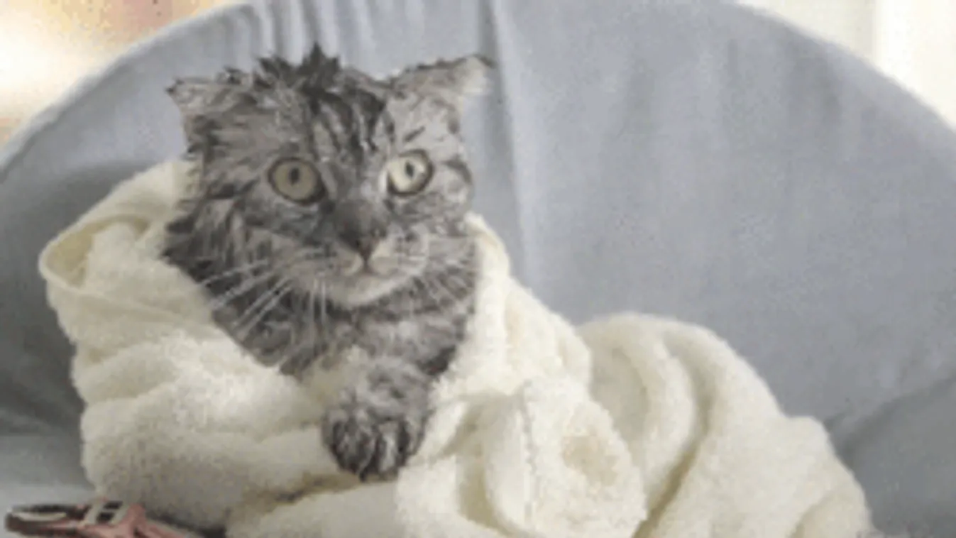 Ma lecsap a hidegfront, itt kell nagyon vigyázni