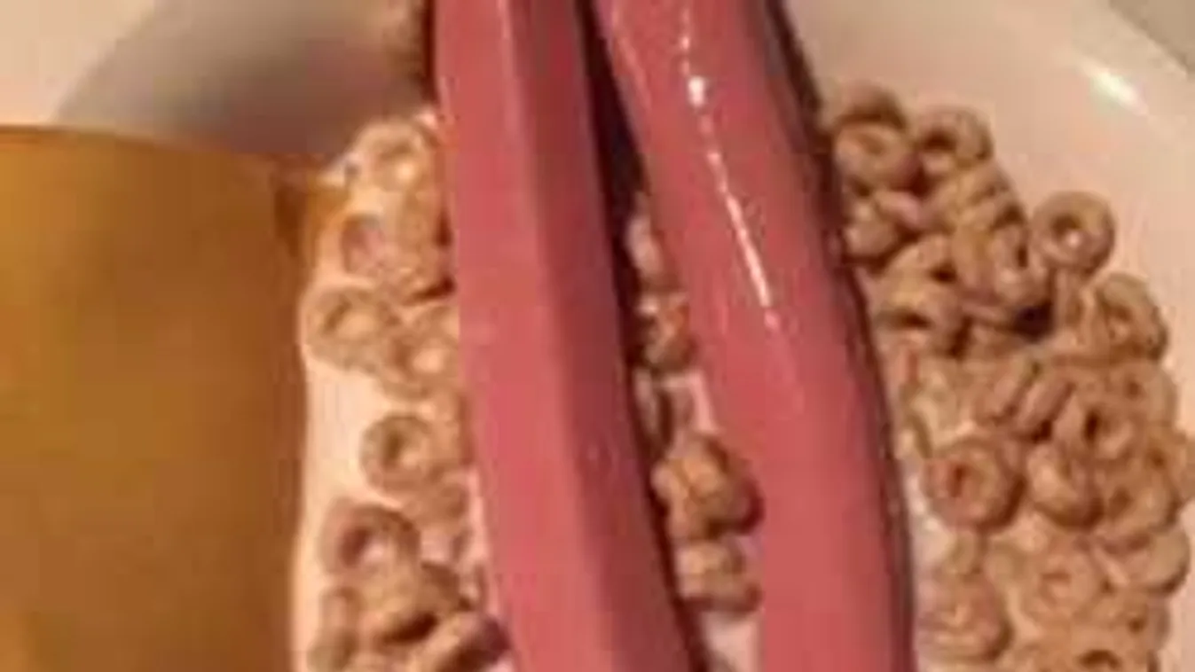 Brutálisan bizarr kaják: Ezt művelik a konyhában nő nélkül a férfiak