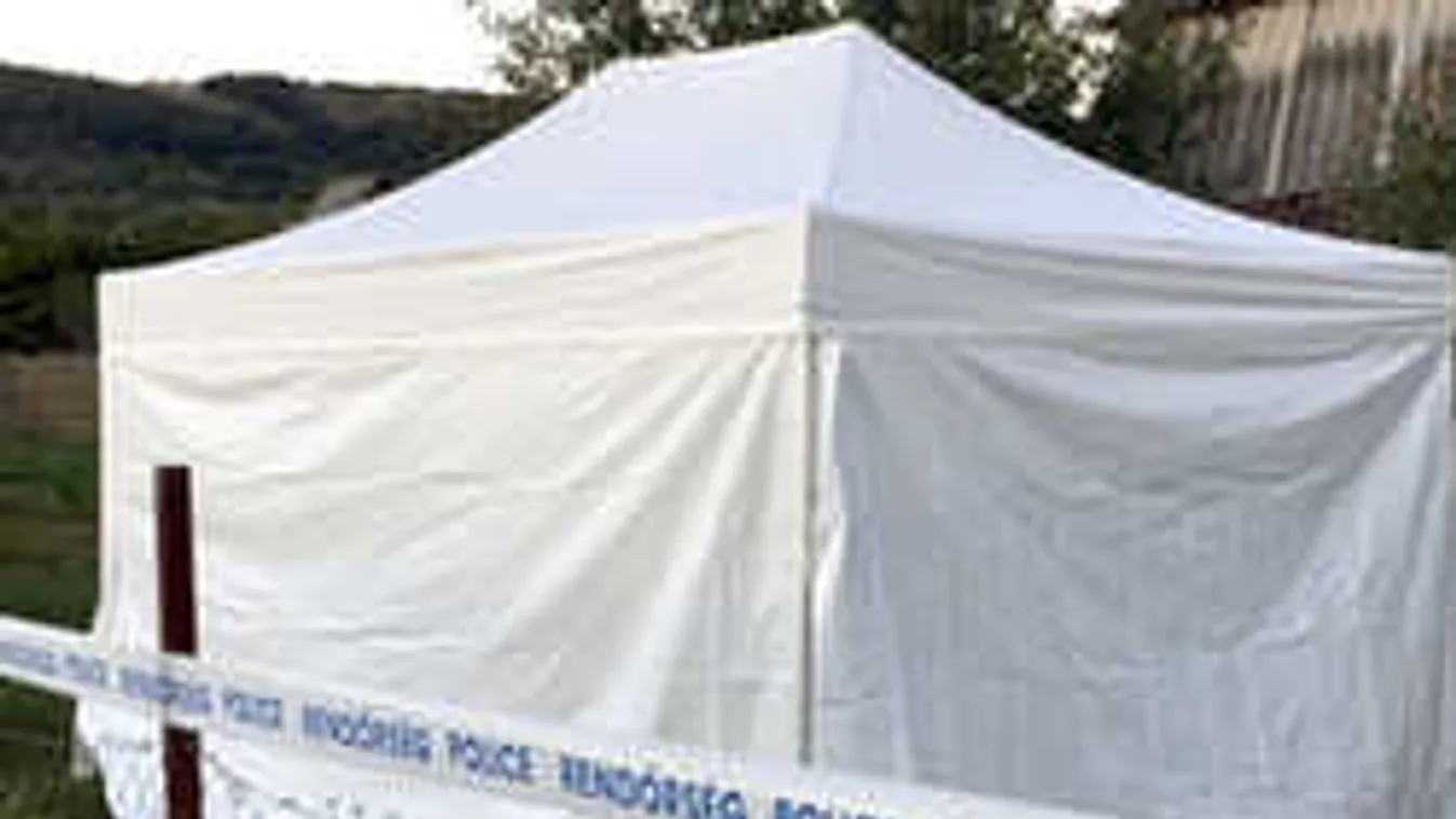 Döntött a bíróság a várpalotai kettős gyilkosság elkövetőjéről