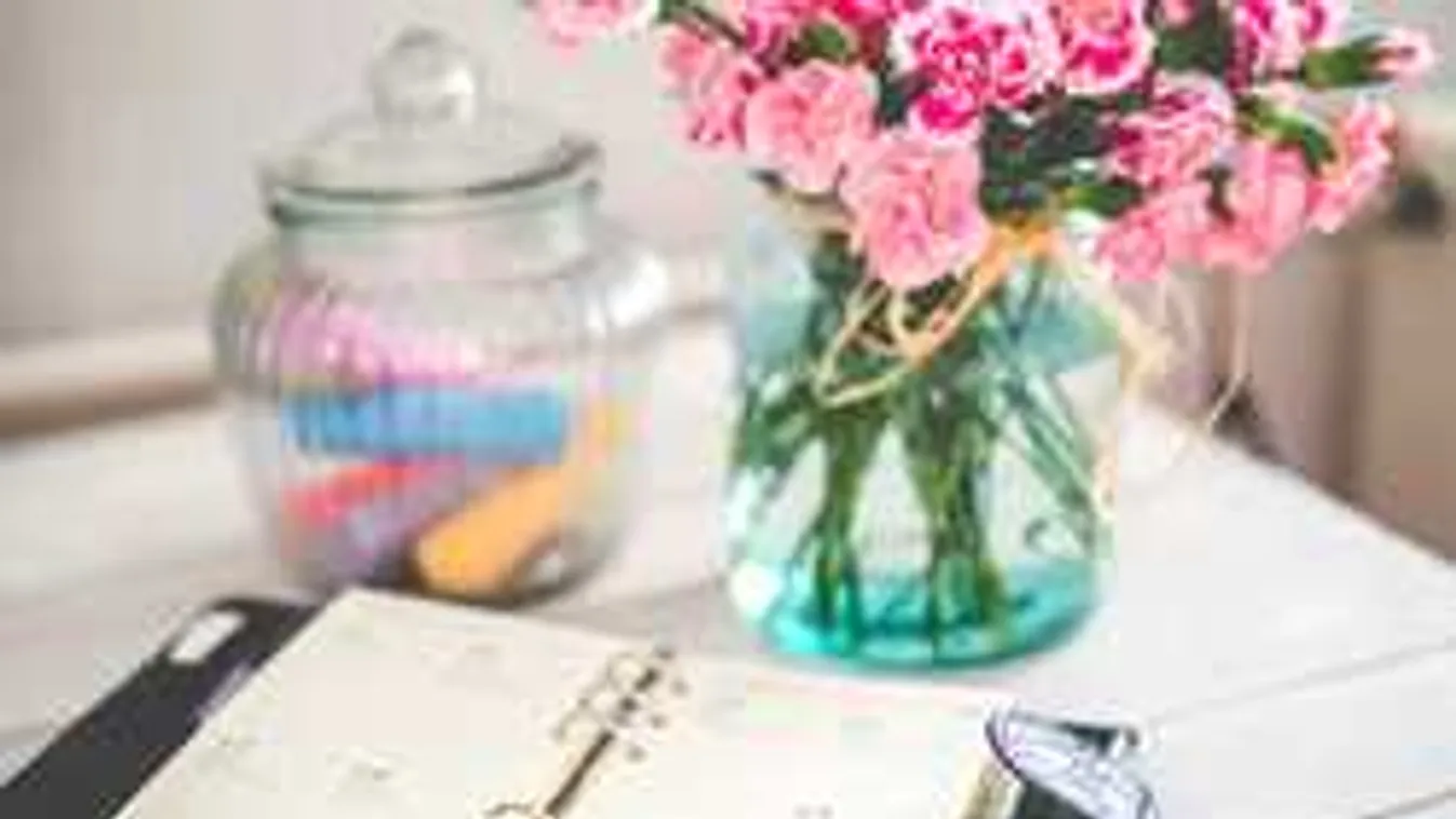 Sokkal több pénzed lesz: Fogadd meg a híres japán háziasszony tanácsát