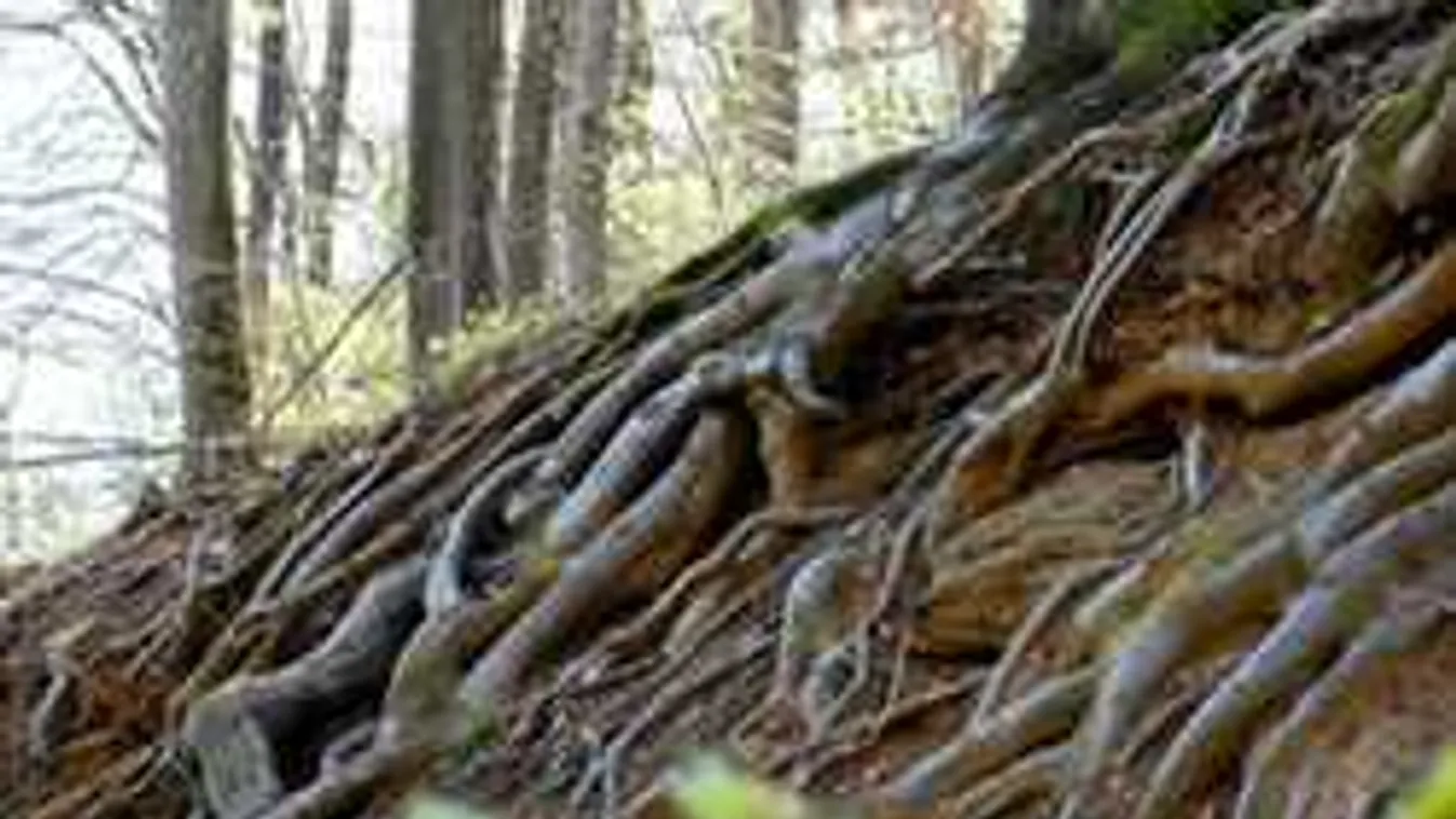 Találd meg a meztelen nőt a képen - ez a feladvány mindenkin kifog!