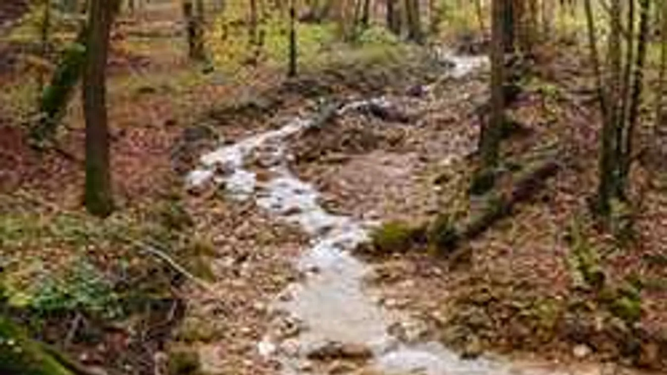 Kis híján egy patakba fojtotta barátnőjét egy fiatal férfi Bánon