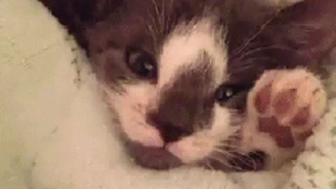 Visszatérnek a fagyos reggelek, eddig kell télies időre számítani