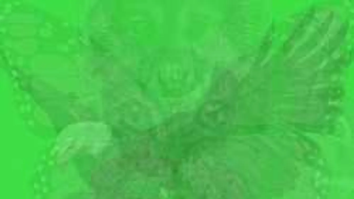 Döbbenetesen különleges személyiségteszt: mit látsz meg először a képen?