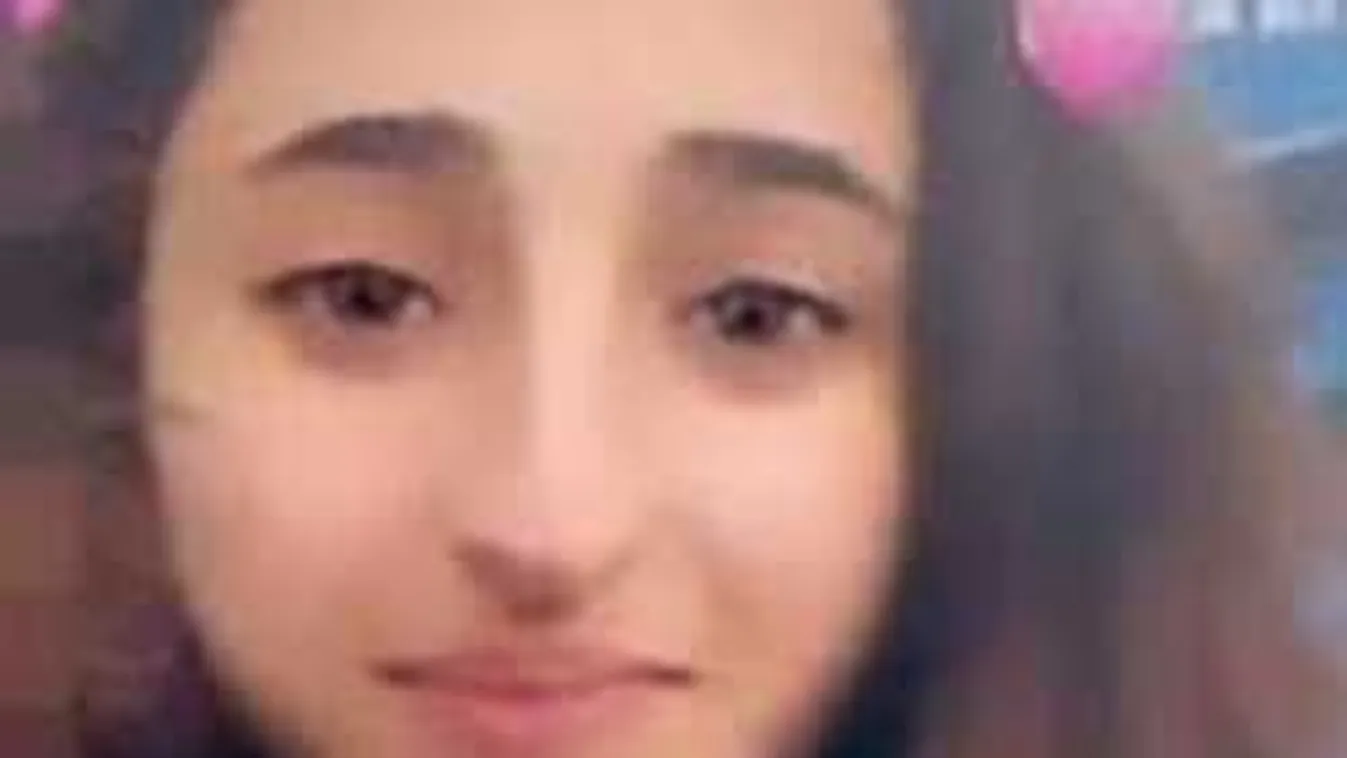 Apja fegyverével lett öngyilkos a Kék Bálna 13 éves áldozata