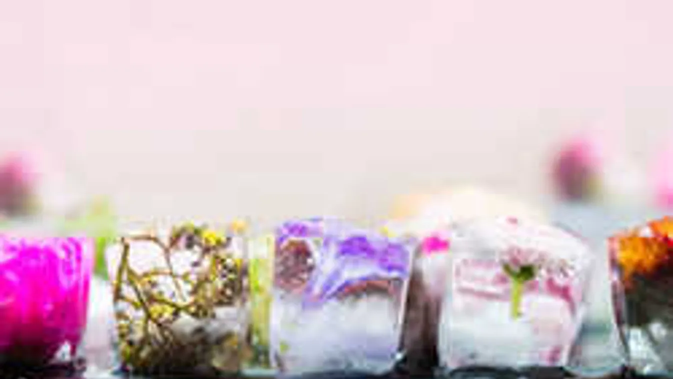 Ez a tavasz első virága: most sem késő elültetni