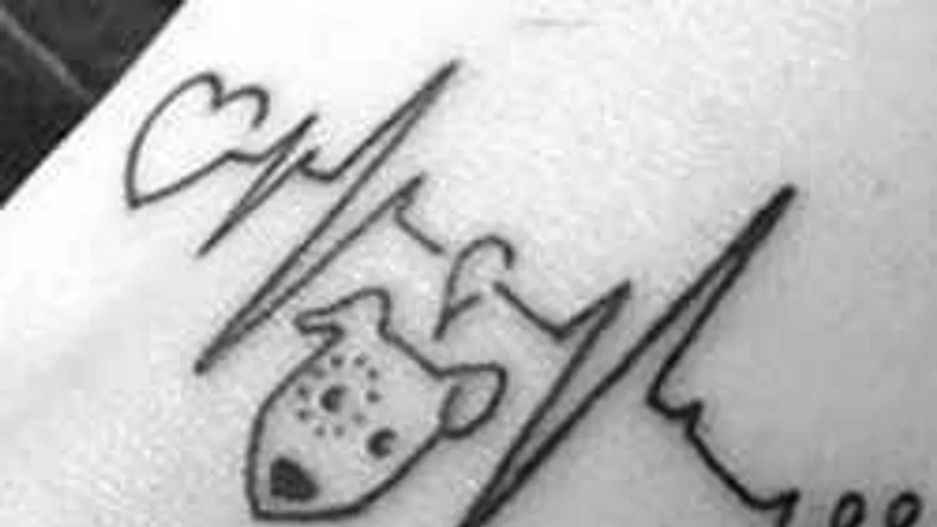 Szereteted az állatokat? Akkor ezeket a tetoválásokat látnod kell!