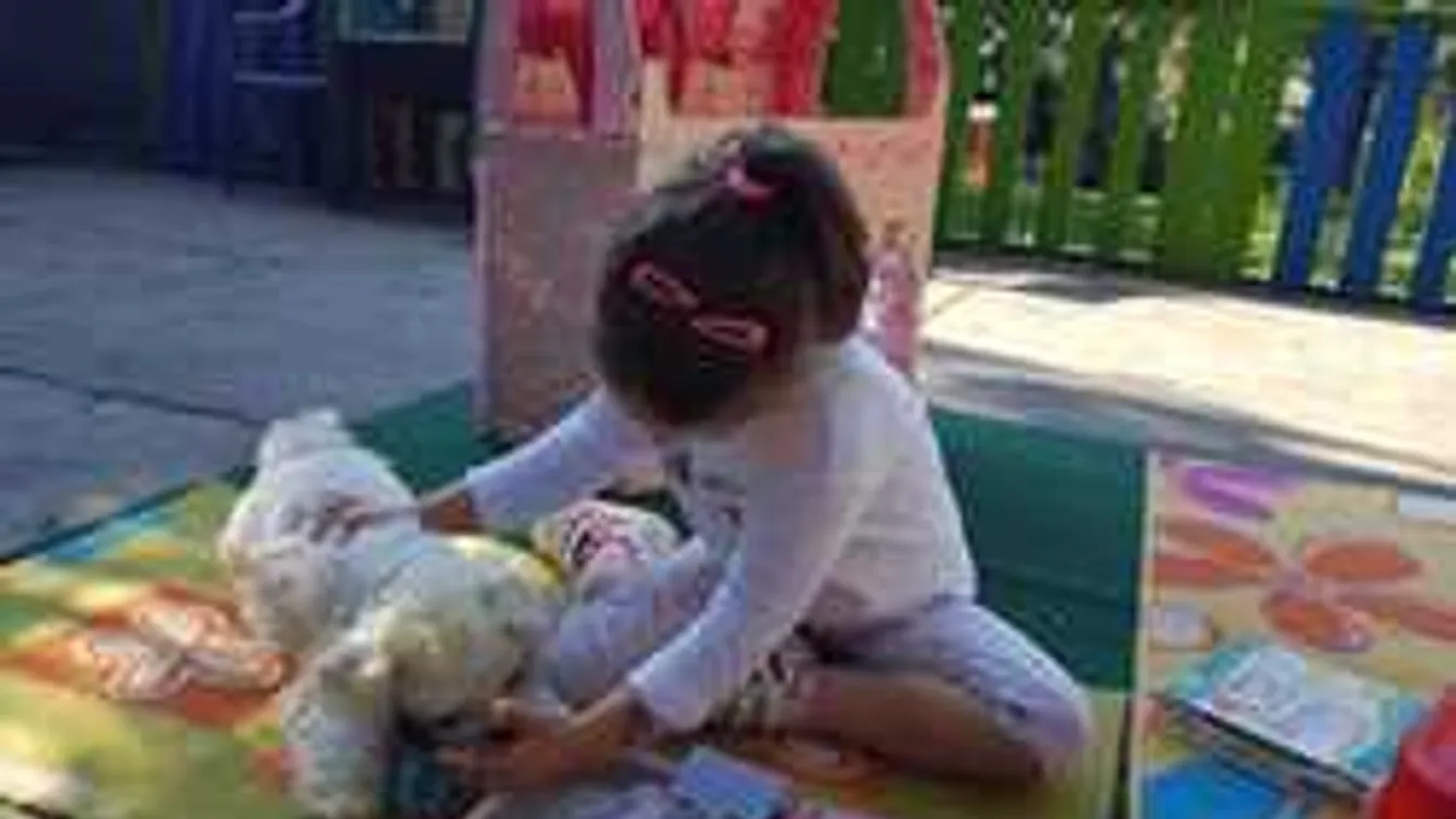 Csodakutya dolgozik egy pécsi óvodában