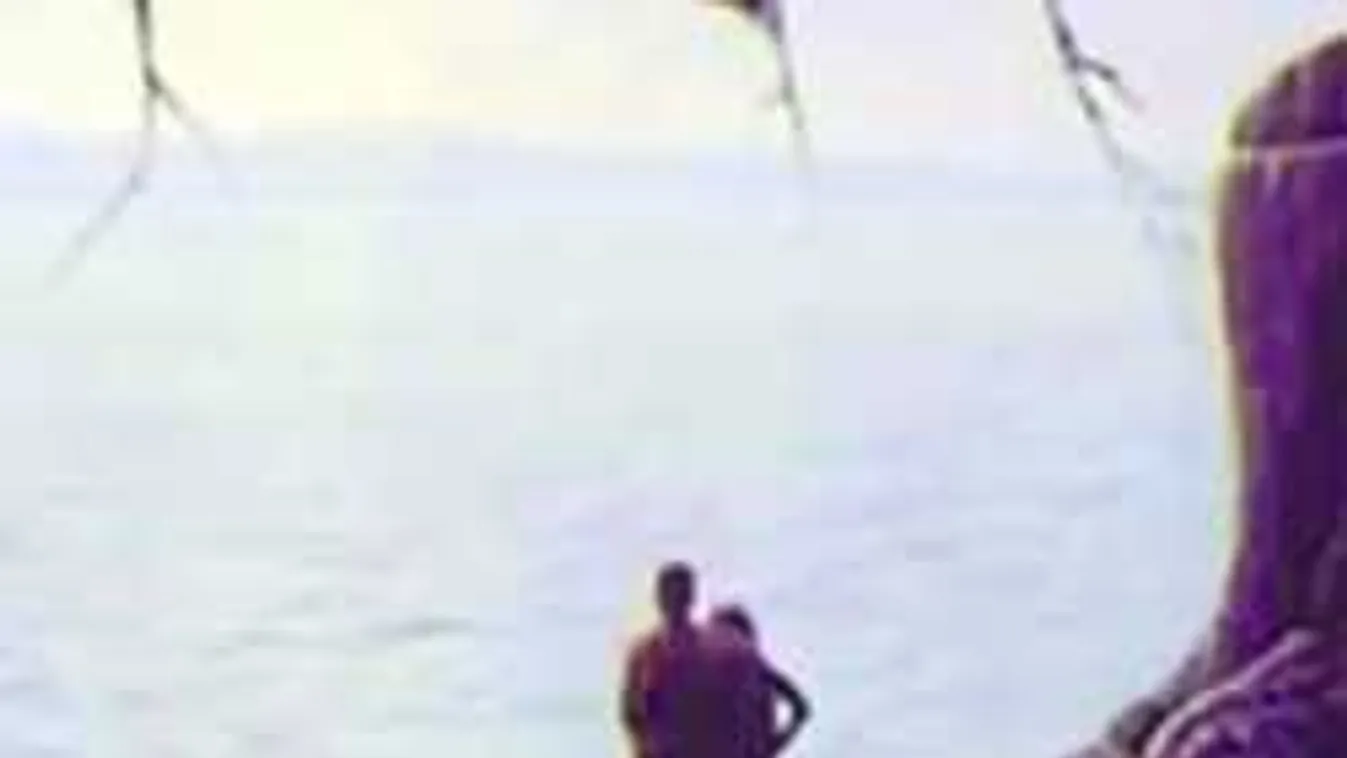 Találd meg a csecsemőt a képen - ha rábukkansz, zseniális vagy!