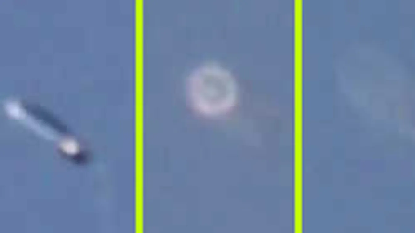 Épp madarakat fotózott az apuka, de olyat látott, amit nem kellett volna