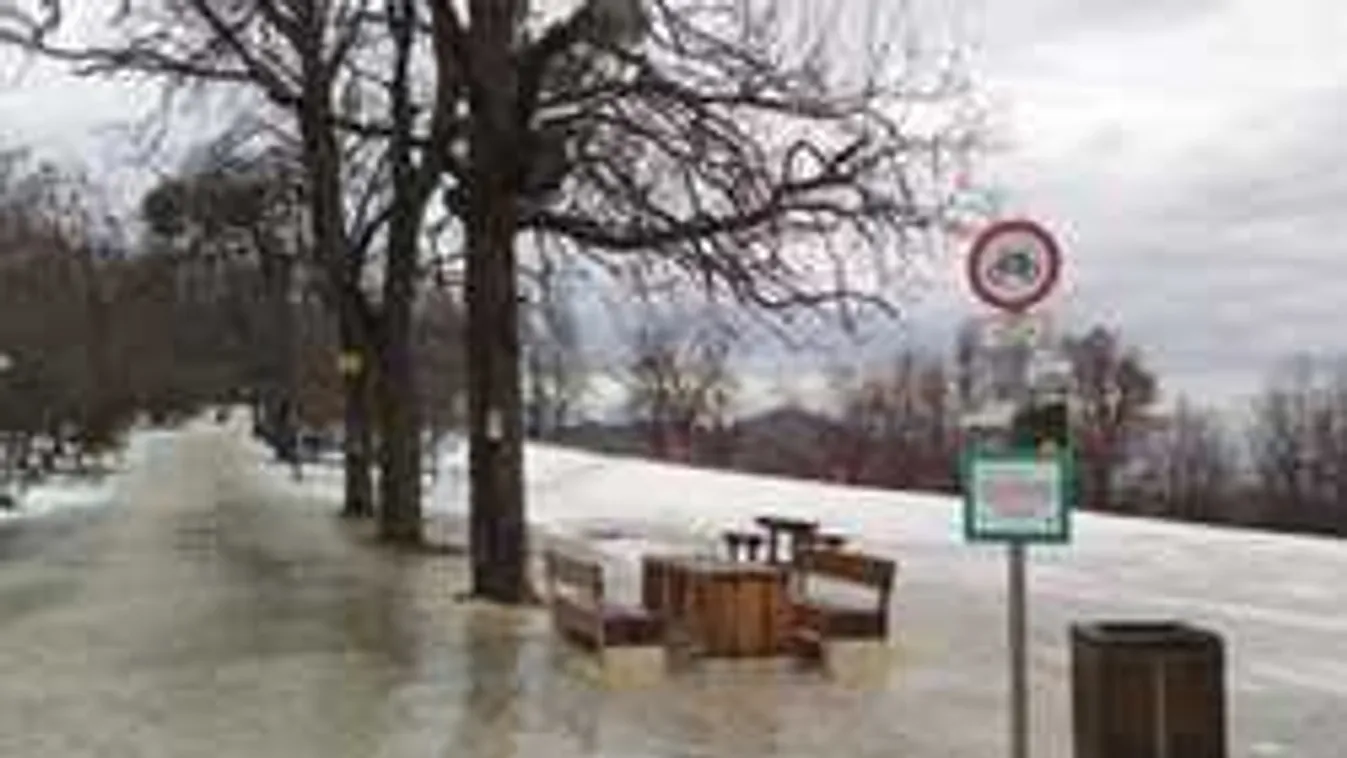 Brutális képek a Normafáról: Ma fel ne menjen oda!