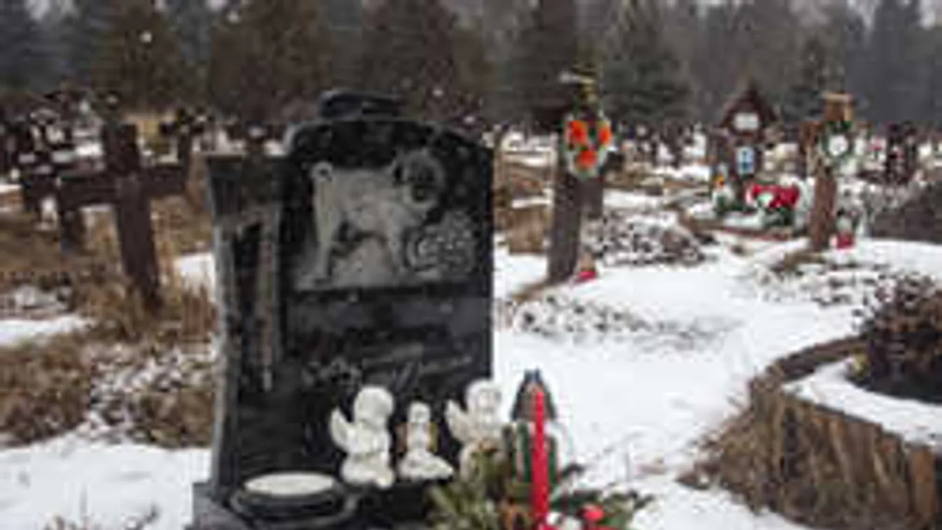 Új gazdára vár a magyar kisállattemető