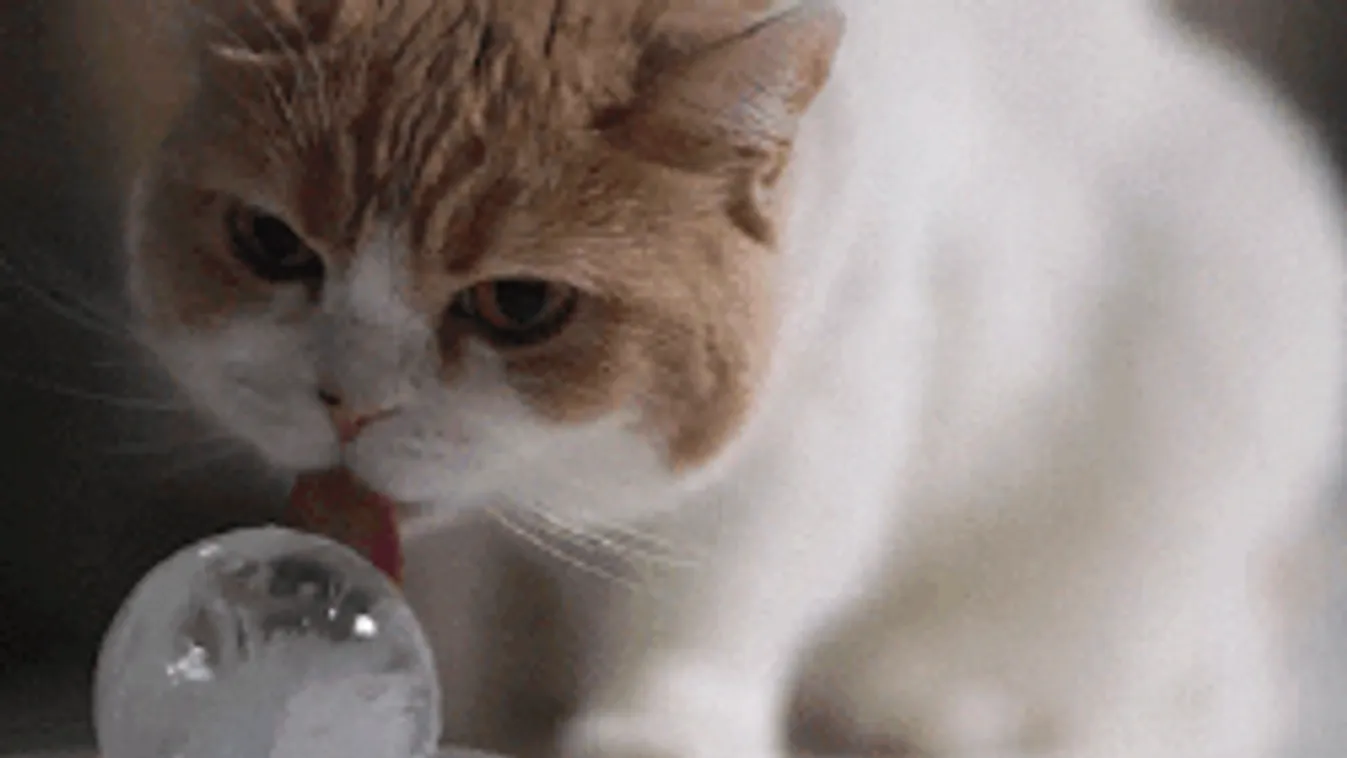 Szélsőséges változások jönnek: így alakul a következő napok időjárása