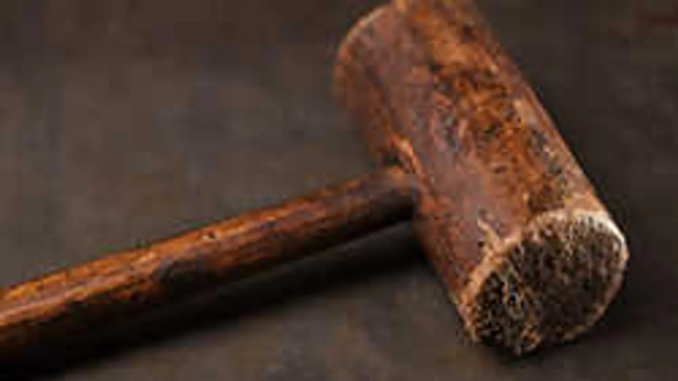 Durva, milyen módon erőszakolták meg az oroszlányi nőt