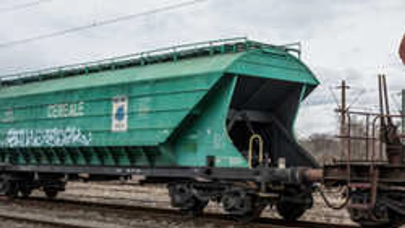 Borzalmas tragédia Rákosrendezőn, az egész teste lángolt a 14 éves fiúnak