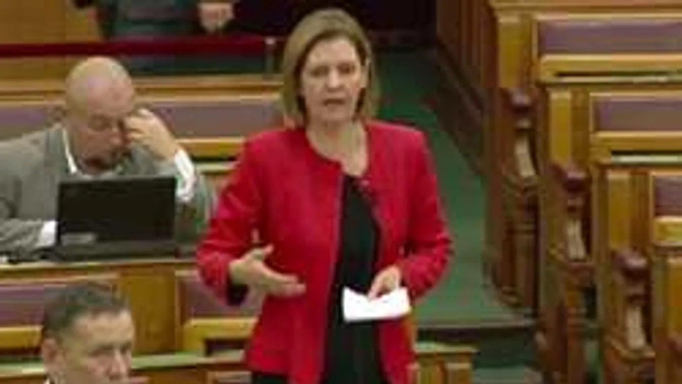 Kilépett a Jobbikból Hegedűs Lórántné