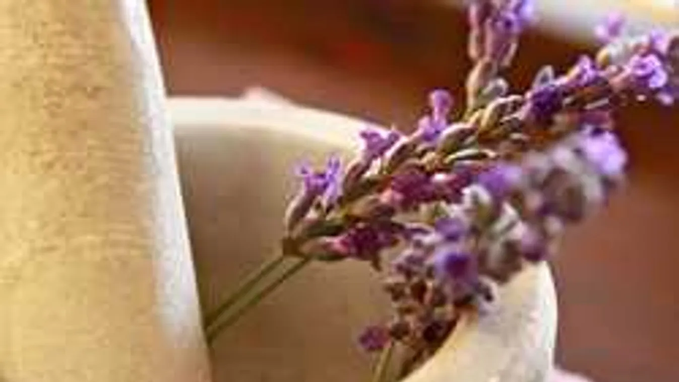 Erre jó a csúnya télben a levendula, elképesztő hatás!