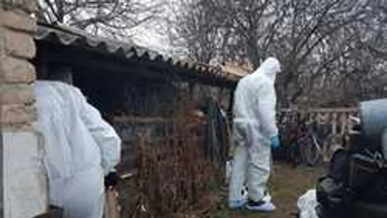 Babagyilkosság Fejér megyében: ezt mondta az anya a rendőröknek