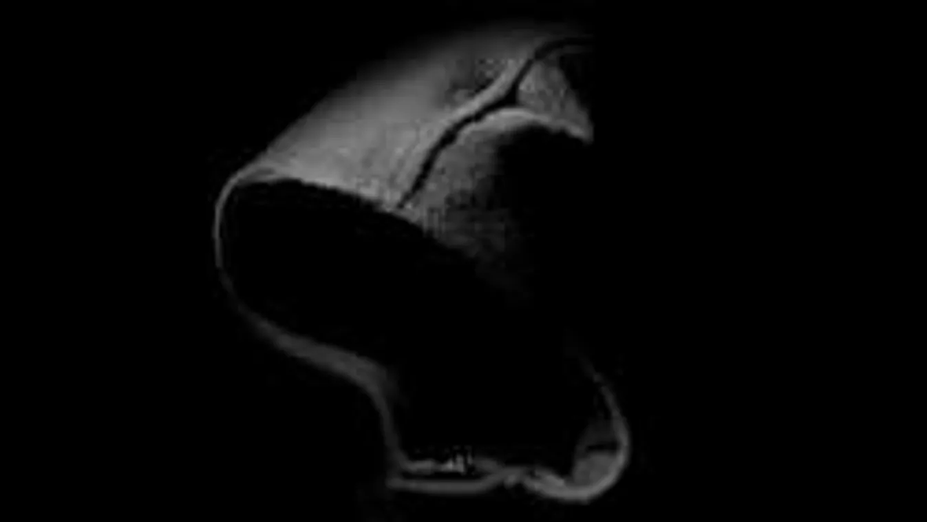 Így akarta átverni a rendőröket az Angliában megölt magyar nő gyilkosa