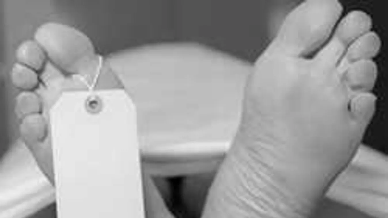 Teljes döbbenet a hullaházban, ettől a dolgozók is összerezzentek